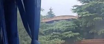 Group Tour from HELL [the plot thickens]