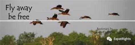 if Police RAID your School..